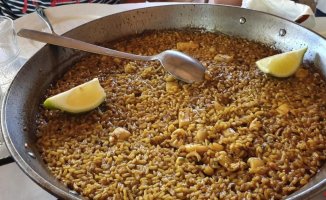 A gastronomic tour with 10 different rice dishes in 10 municipalities of Alicante