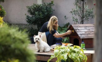 An Airbnb for dogs: people with space in their house rent their patio or garden by the hour