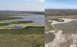 The 15 keys to the disaster (environmental and political) of Doñana