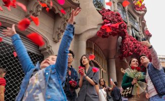 The Sunday suit suits you wonderfully for a record-breaking Sant Jordi
