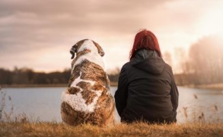 How Expressing Grief Over the Death of a Pet Helps You Get Over It