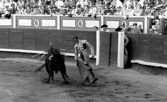 José Fuentes, a bullfighter with personality