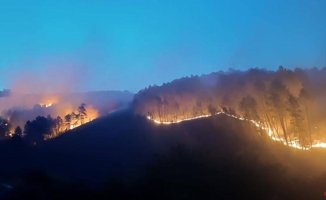 The Pinofranqueado fire advances uncontrollably and the level of danger rises