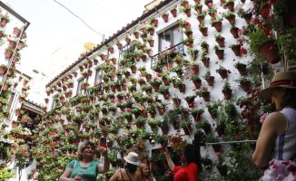 Almost half a million people visit the patios of Córdoba in the first week of the festival