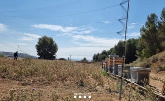 The Rural Agents denounce a hunter for installing illegal Japanese nets in the Segrià