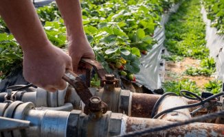 A hundred investigated for clandestine wells and illegal irrigation in Malaga