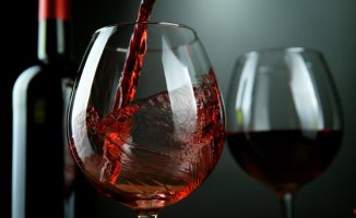 7 red wines with native grapes that you cannot miss