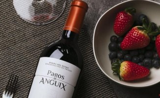 The wine of the week: Pagos de Anguix Costalara 2020