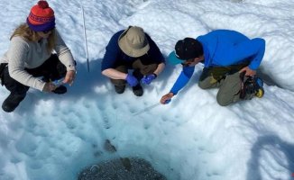 Black algae invade Greenland ice, another unsuspected damage from global warming