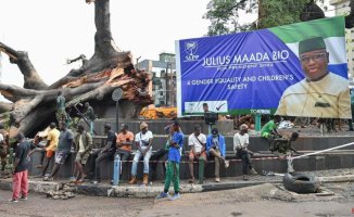 Rains topple 400-year-old tree, symbol of Sierra Leone's freedom