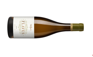 The wine of the week: Viña Sastre Flavus 2018