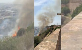 A fire in Montjuïc raises a column of smoke visible from many points in Barcelona