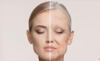 Spanish scientists discover a key protein in skin aging