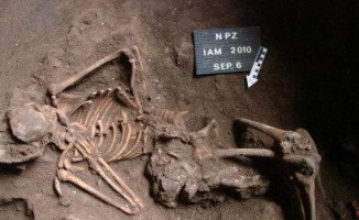 Immigrants from the Iberian Peninsula would have brought agriculture to Africa 7,400 years ago
