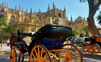 How to tour Seville by carriage in the 21st century