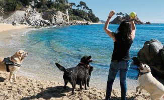 Dogs are left without a beach on the Costa Brava