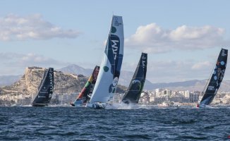 The sailors of the Ocean Race certify the serious increase of microplastics in the seas