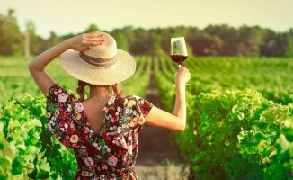 7 national wines with foreign grape varieties that will brighten up your summer