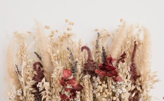 How to make paintings with dried flowers