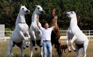 Santi Serra, the horse sorcerer of the international elite