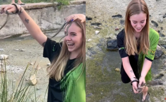 A girl is told that a pond has dried up and she rescues all the snakes inside it