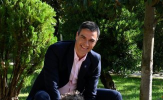 The funny image of Pedro Sánchez to celebrate World Dog Day: ''I love you, Perro Sanxe''