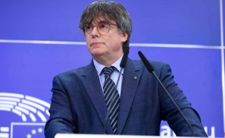 Is an amnesty law, like the one claimed by Puigdemont, constitutional?