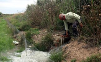 The fruit producers of the Urgell canal begin to irrigate to save 90% of the harvest