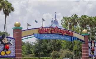 The secret law that allows Disney to build a nuclear power plant