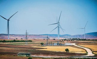 Half of large wind projects fail environmental review