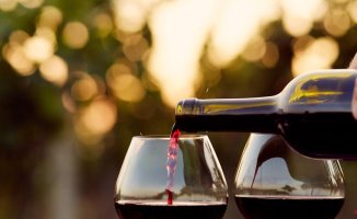 The 7 great wines you should try