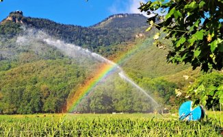 The rainbows of the Vall d'en Bas fields