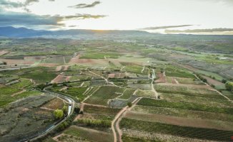 This says the report that has angered Rioja producers