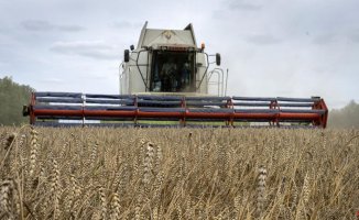 Russia suspends the pact for the export of Ukrainian grain: how will it affect food?