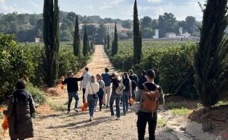 Agrotourism in Valencia: "President, why isn't there an Orange Route?"