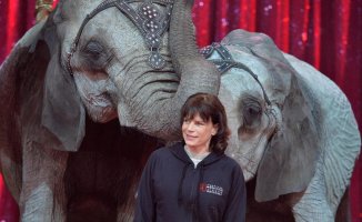 Stephanie of Monaco's last elephant dies after ten years in her care