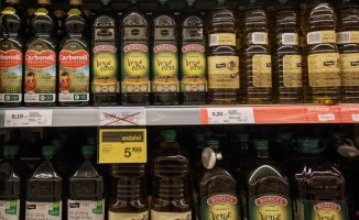 Olive oil sales drop 20% in the first semester