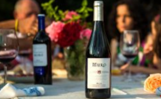 Bodegas Muro: a century-old wine history successfully renewed