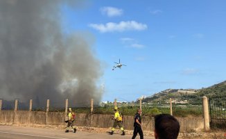 A fire declared in Cullera affects forest land in the Albufera Natural Park