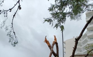 Hurricane winds of up to 120 km/h cause major damage in the Balearic Islands