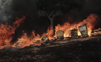 Charred bodies of 26 migrants found in NE Greece fires