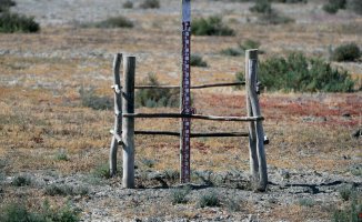 The overexploitation of the Doñana aquifers is close to the point of no return