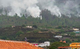 The wind offers a truce in the battle of Tenerife against an arson attack