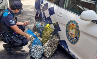 Several poachers caught with 135 kilos of clams when they distributed the shellfish among relatives