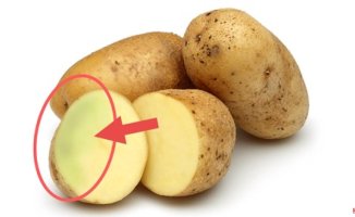 The EFSA warns about the danger of eating potatoes with sprouts or green areas