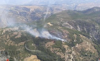 Infoca firefighters fight against a declared forest fire in Dúrcal