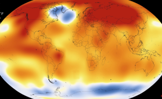 What is the 'cold blob', the cold anomaly in a warm Atlantic?