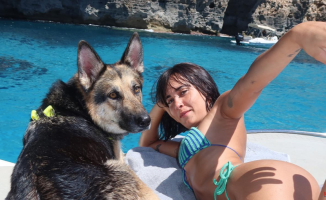 From Aitana to Dani Rovira: celebrity dogs also go on vacation