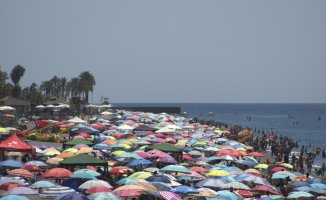 The Aemet alert: today will be the hottest day of the year with highs of up to 44 degrees