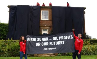 Greenpeace activists who went up to the British Prime Minister's house released on bail